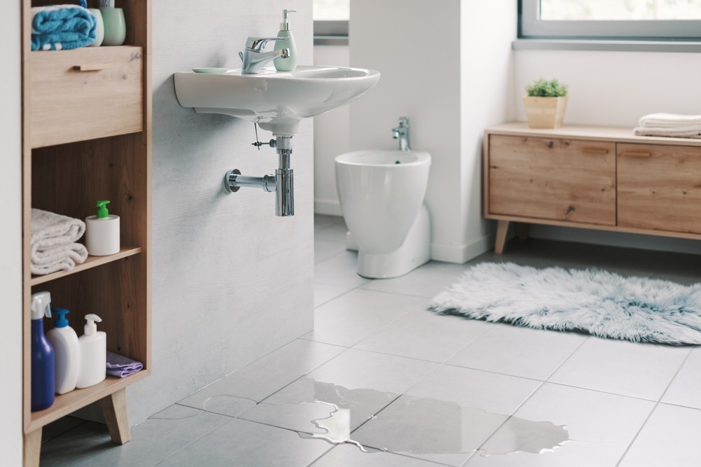 Why Leak Detection Services Help Prevent Costly Water Damage